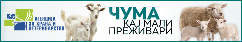 Чума кај мали преживари